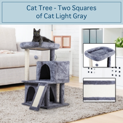 猫树-两方窝浅灰色